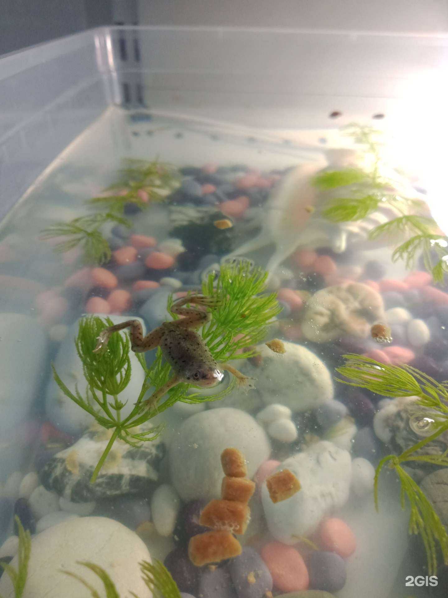 Отзывы на компанию Барсик в Омске c фото