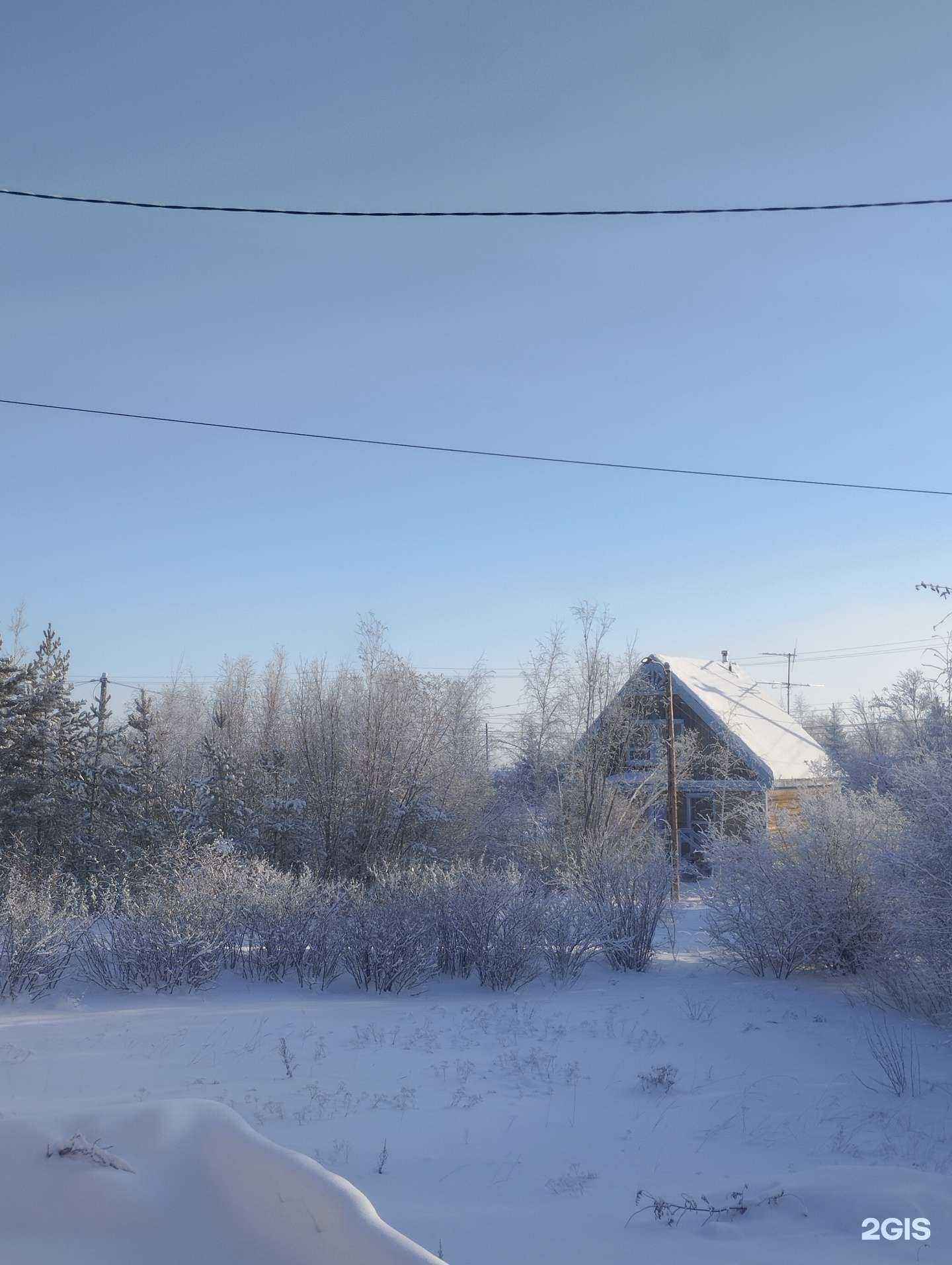 Отзывы на компанию Высшая школа музыки (институт) Республики Саха (Якутия) им. В.А. Босикова в г. Якутск c фото