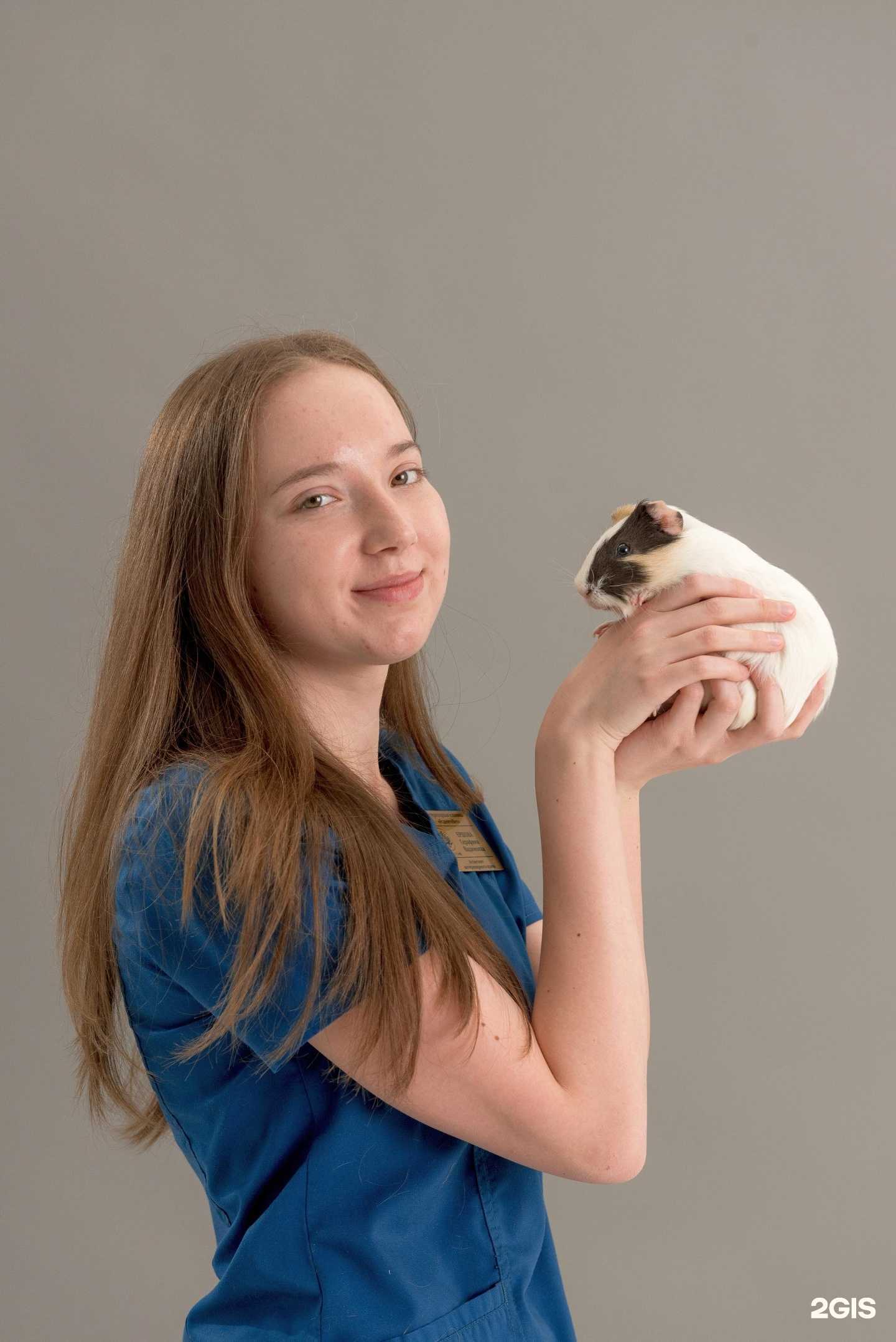 Отзывы на компанию Родентовет в Саратове c фото