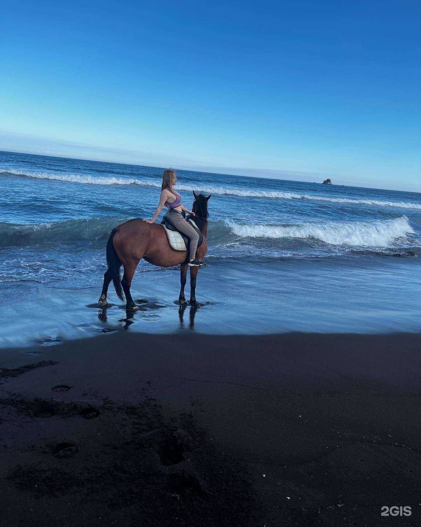 Отзывы на компанию Золотая подкова в г. Петропавловск-Камчатский c фото