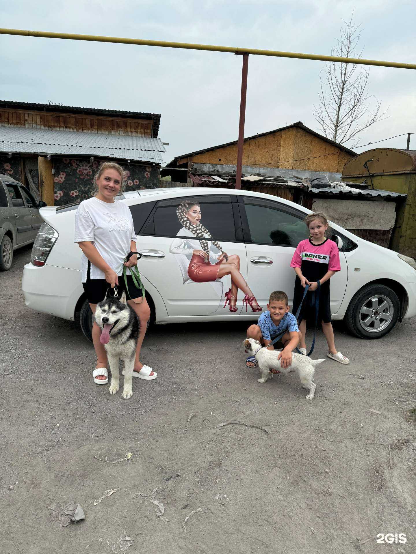 Отзывы на компанию Созвездие сибирских псов в г. Искитим c фото