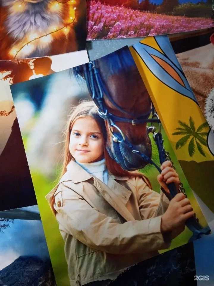 Отзывы на компанию Pro-print в Ростове-на-Дону c фото