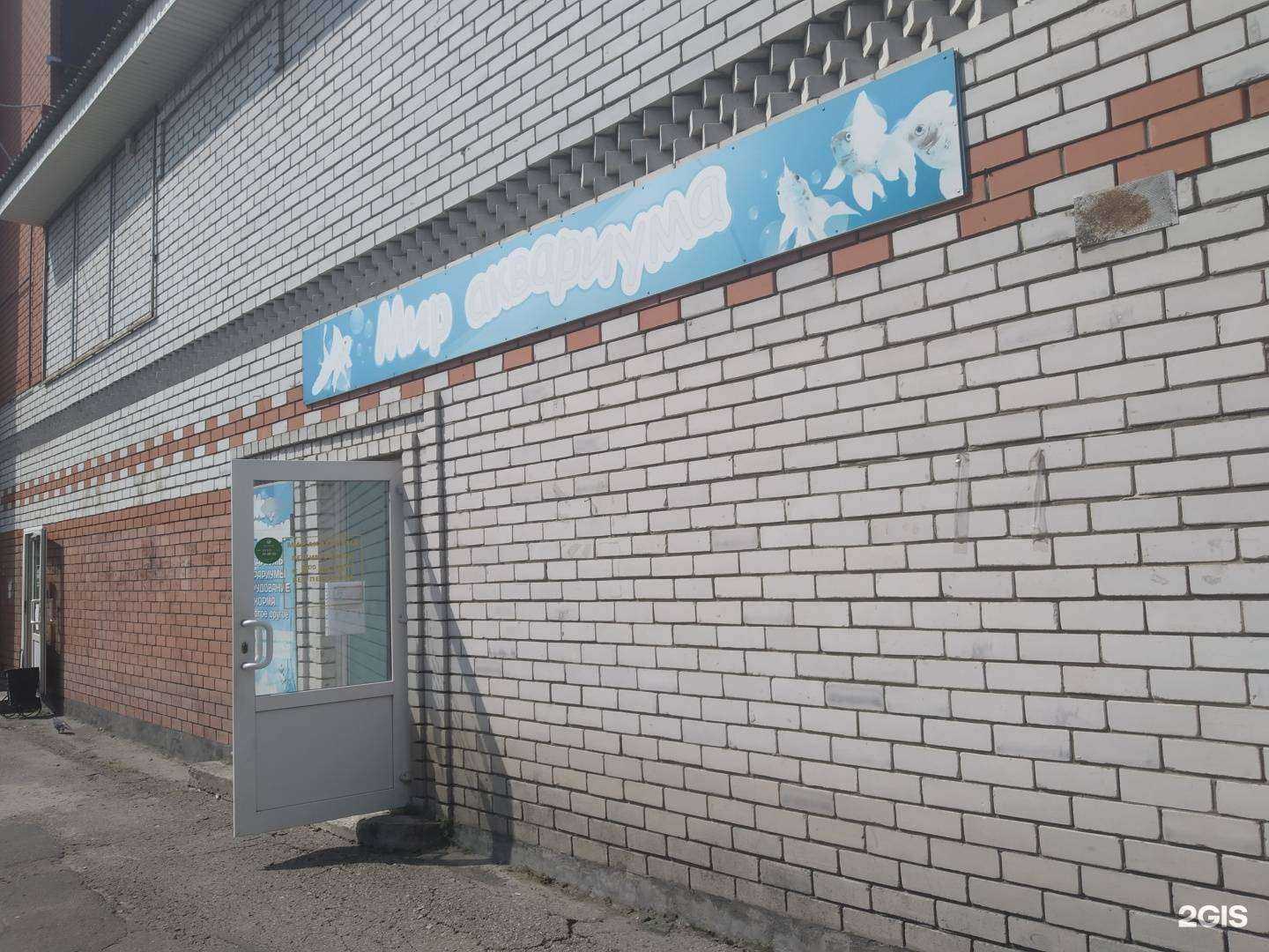 Отзывы на компанию Мир аквариума в Курске c фото