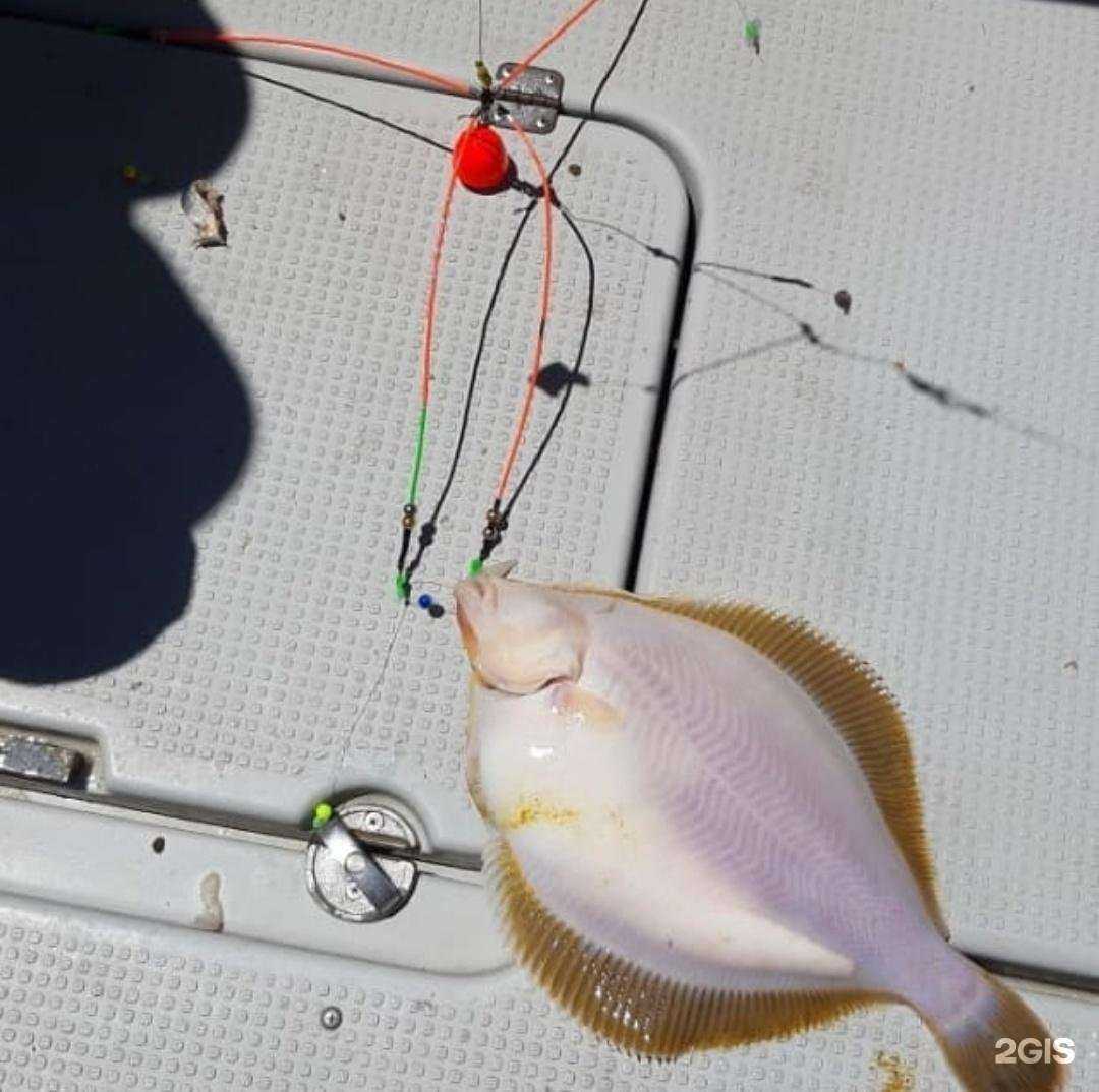 Отзывы на компанию Японские черви в Уссурийске c фото