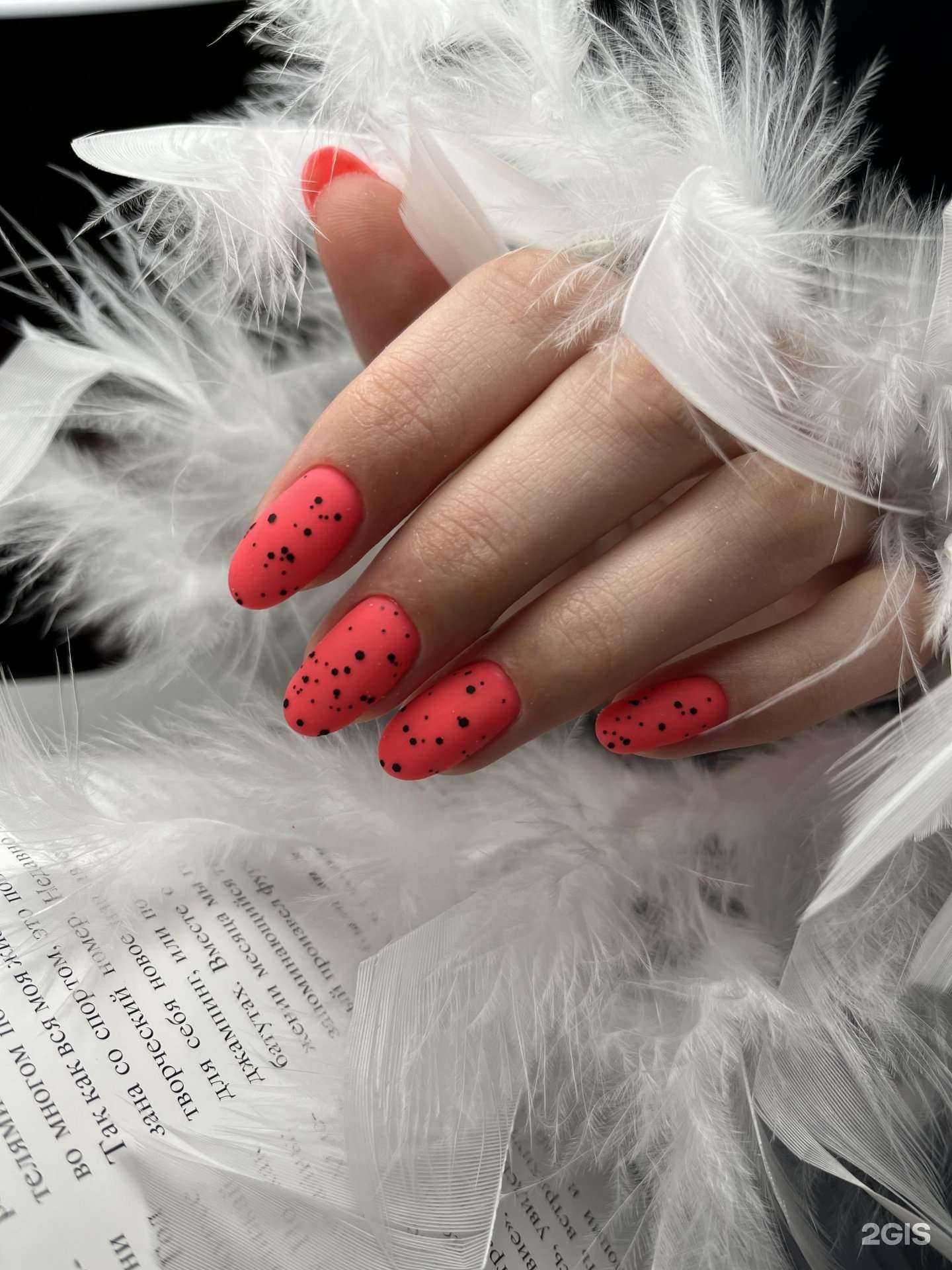 Отзывы на компанию Odri в Барнауле c фото