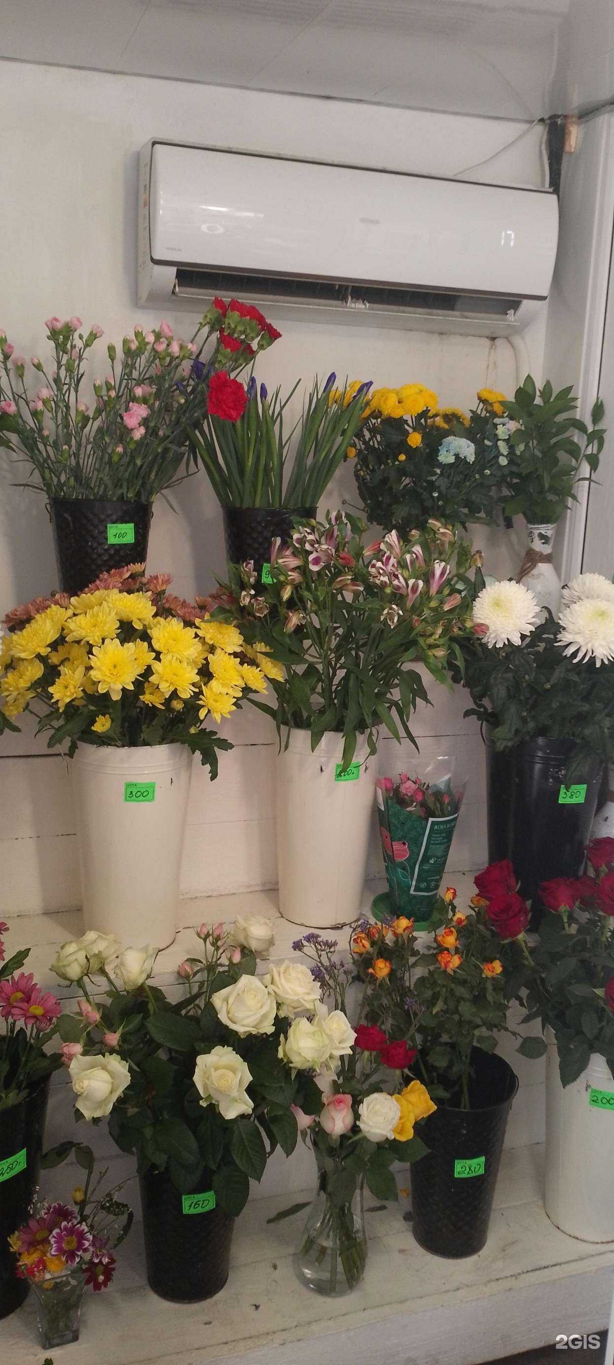 Отзывы на компанию Домино в Смоленске c фото - фотография 2 из 2