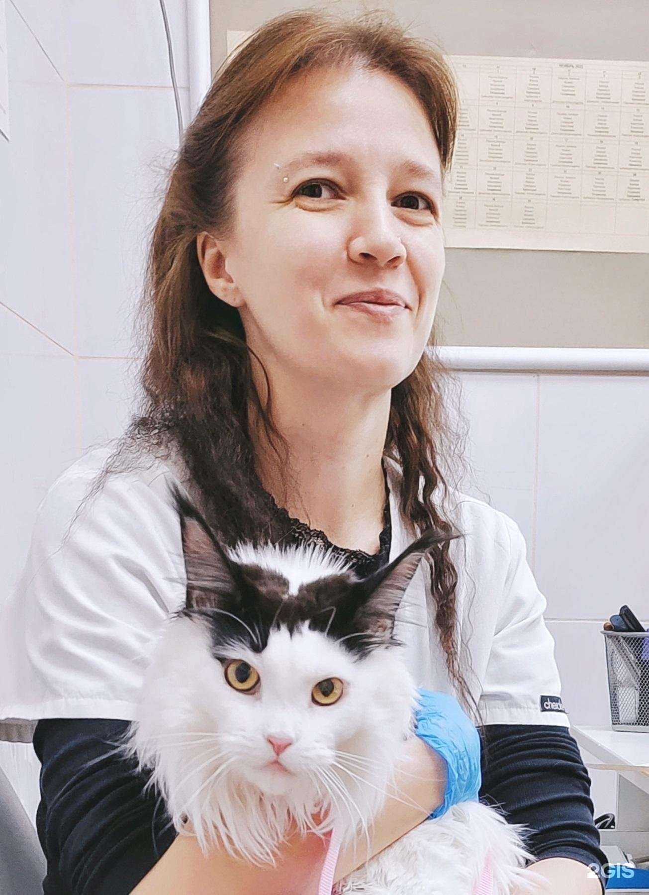 Отзывы на компанию Ветеринарная клиника Доктора Еремина в Люберцах c фото