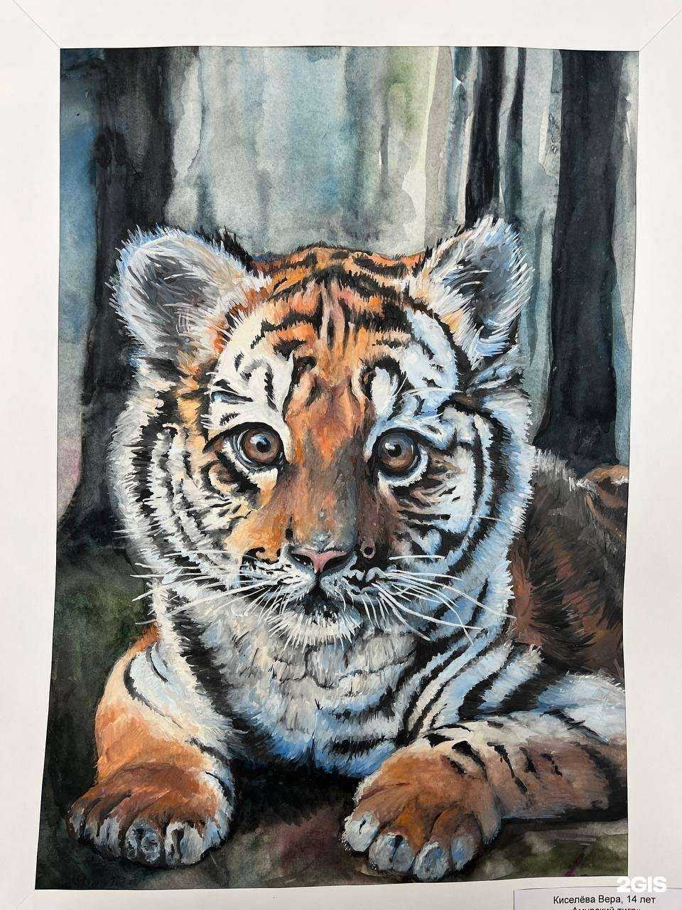 Отзывы на компанию Cultura Graphica в Нижнем Новгороде c фото