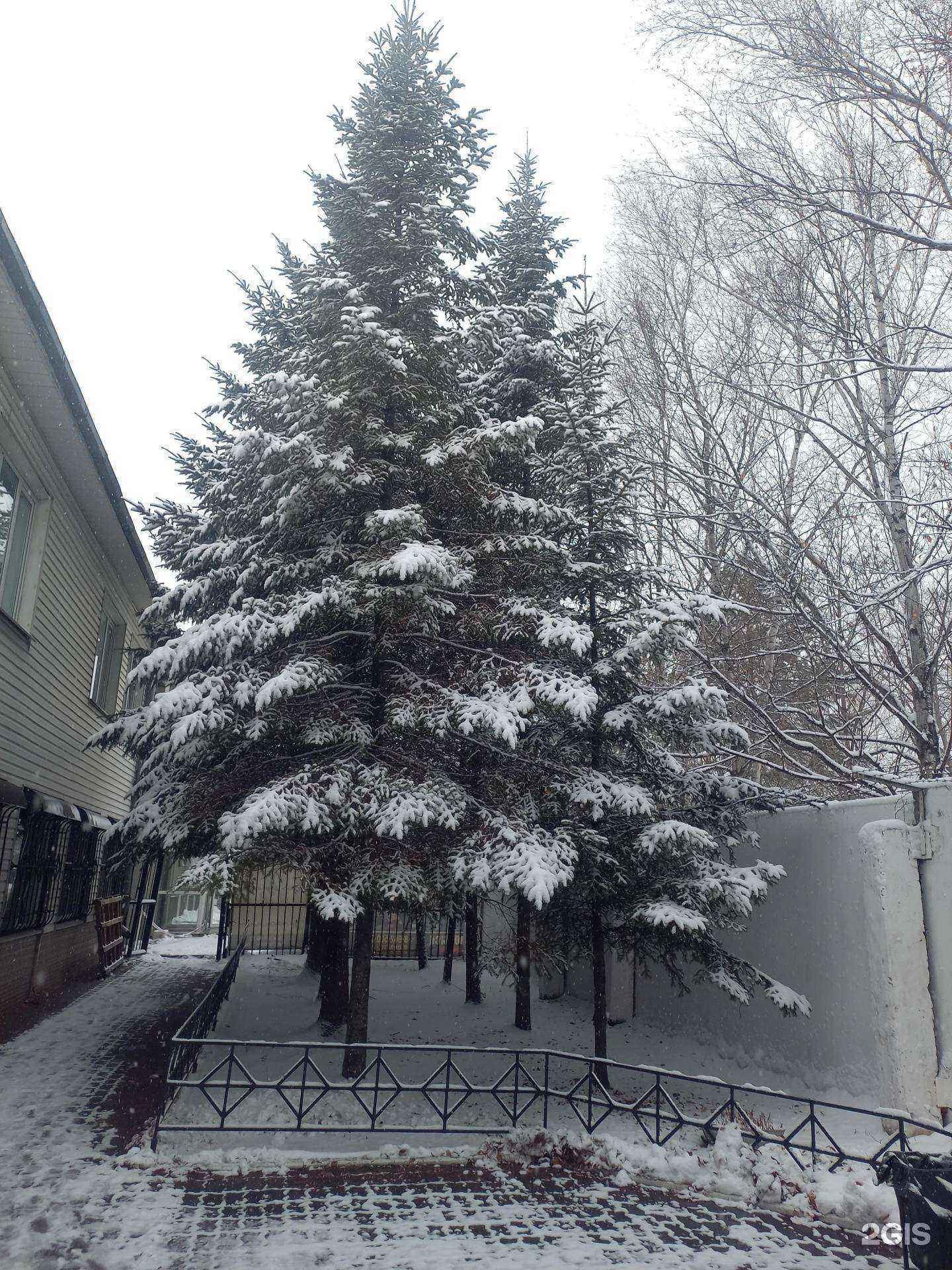 Отзывы на компанию Алиса в Хабаровске c фото - фотография 2 из 2