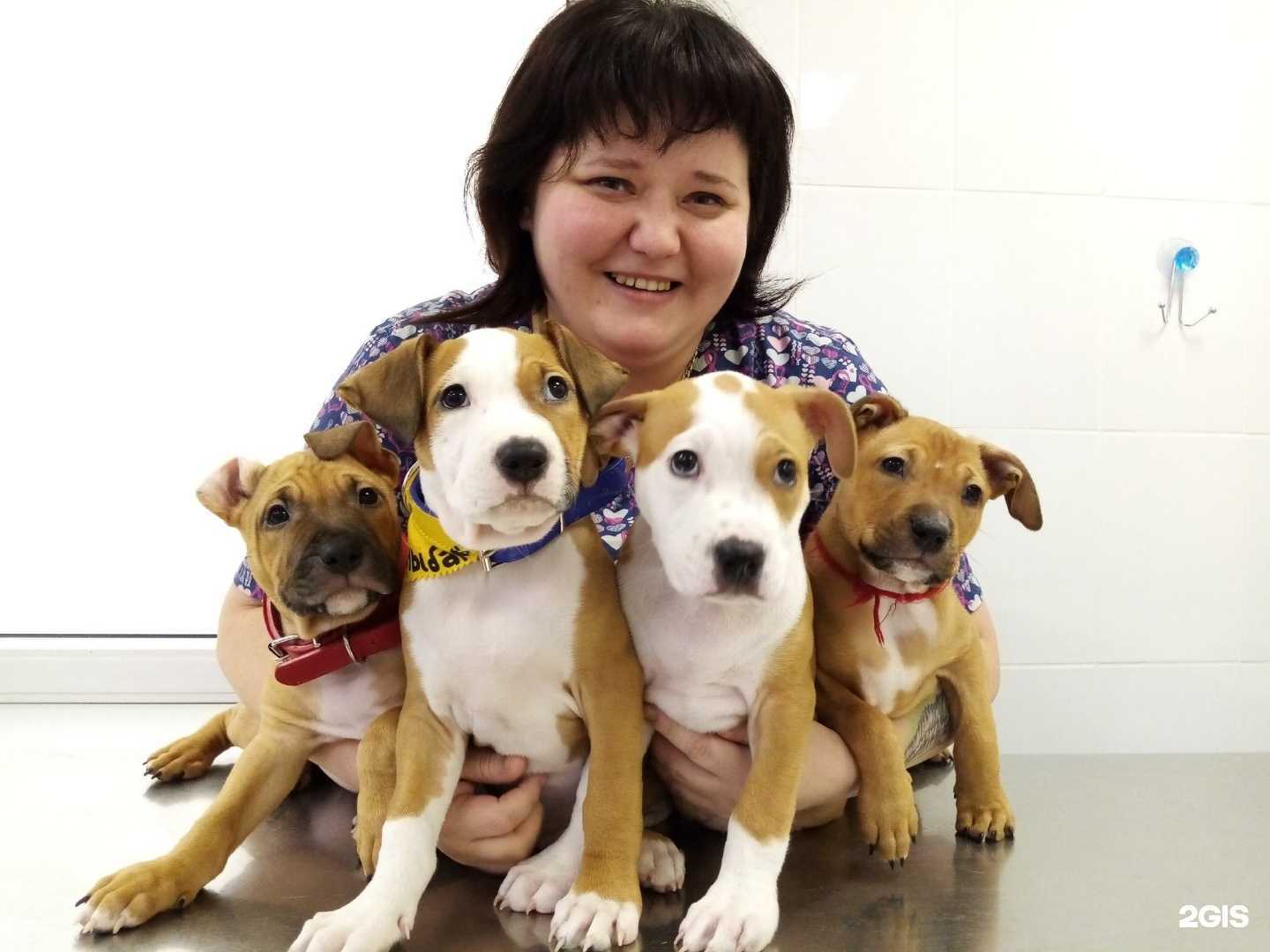 Отзывы на компанию Дойче Вет в г. Пермь c фото