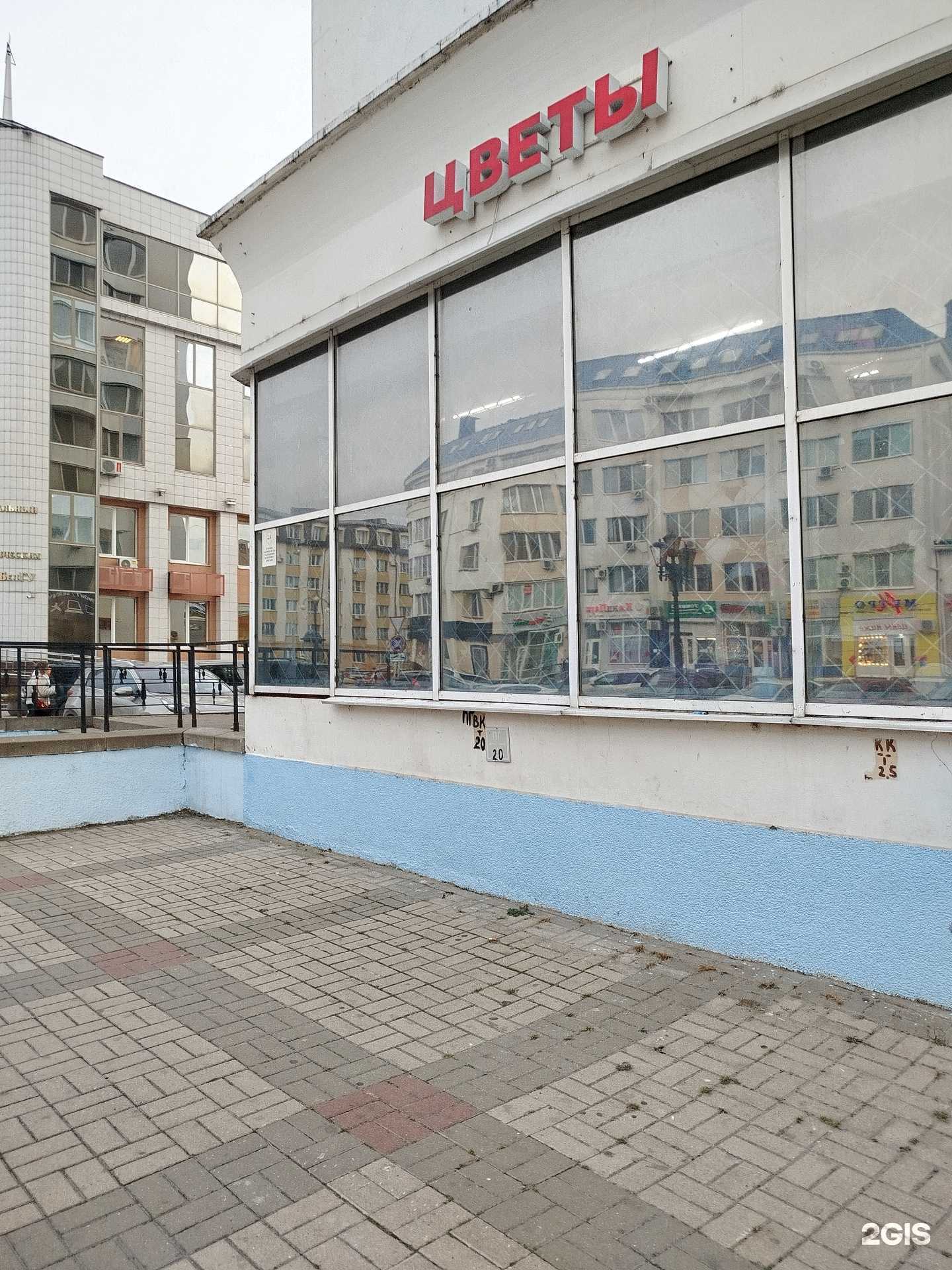 Отзывы на компанию Магазин цветов в Белгороде c фото