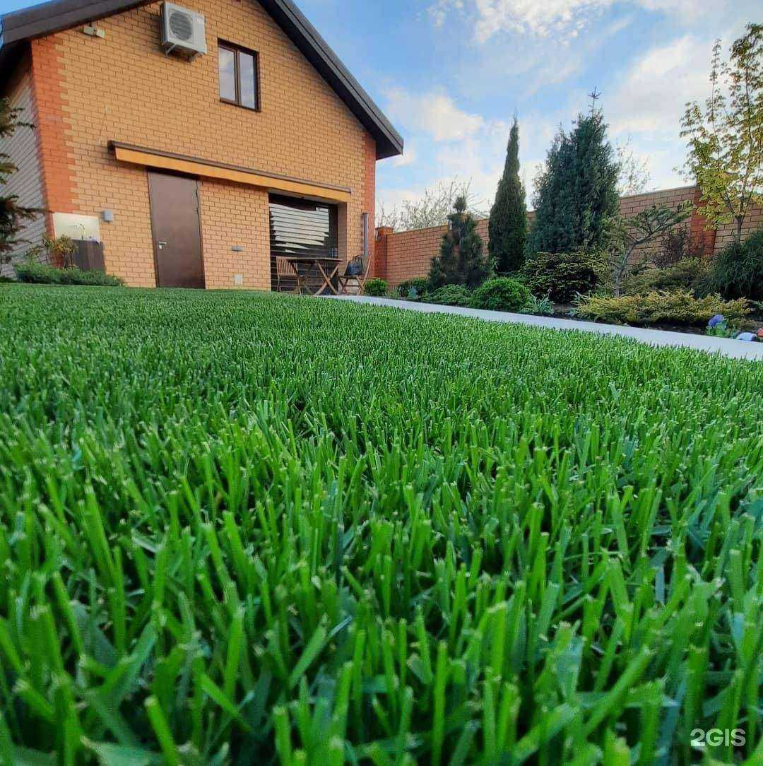 Отзывы на компанию Evergreen в г. Воронеж c фото