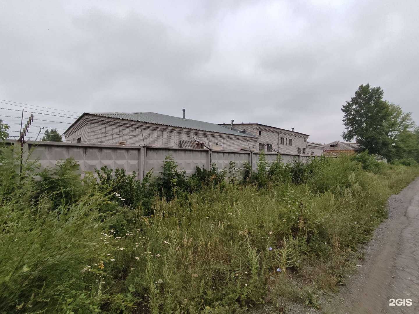 Отзывы на компанию Кристалл в Южноуральске c фото - фотография 2 из 2