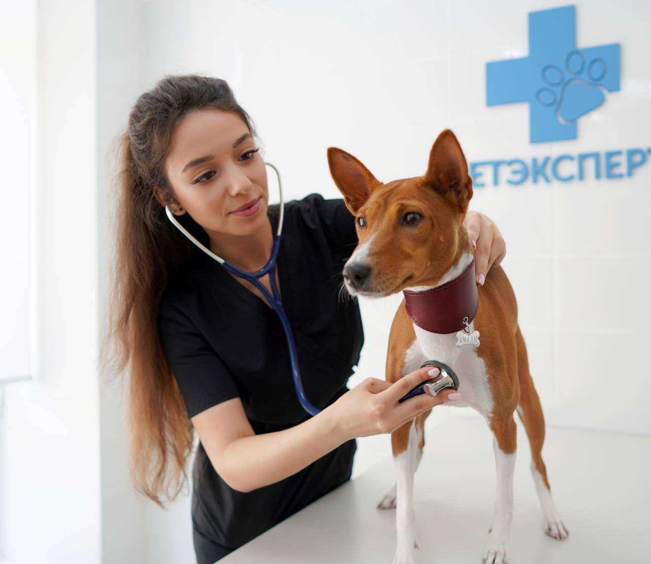 Отзывы на компанию ВетЭксперт в Владимире c фото