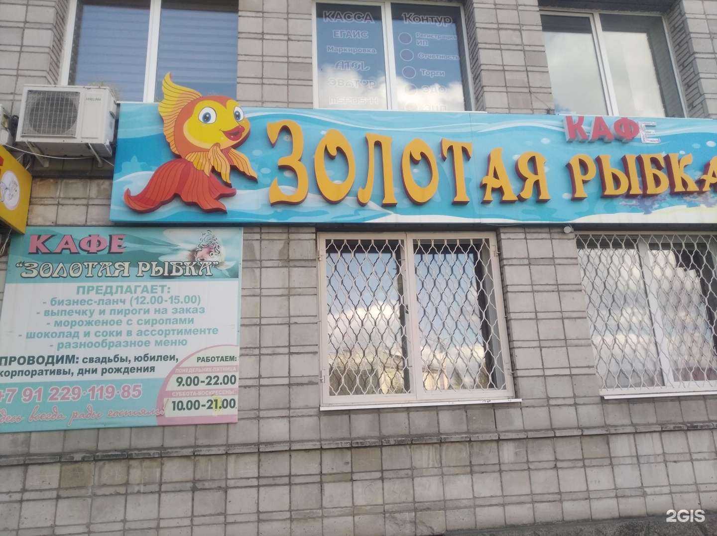 Отзывы на компанию Золотая рыбка в Качканаре c фото