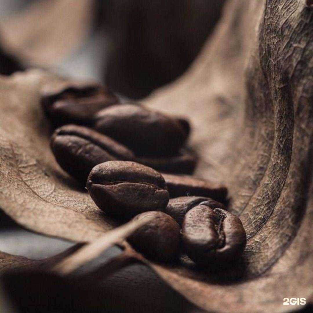 Отзывы на компанию Bristles в г. Майкоп c фото