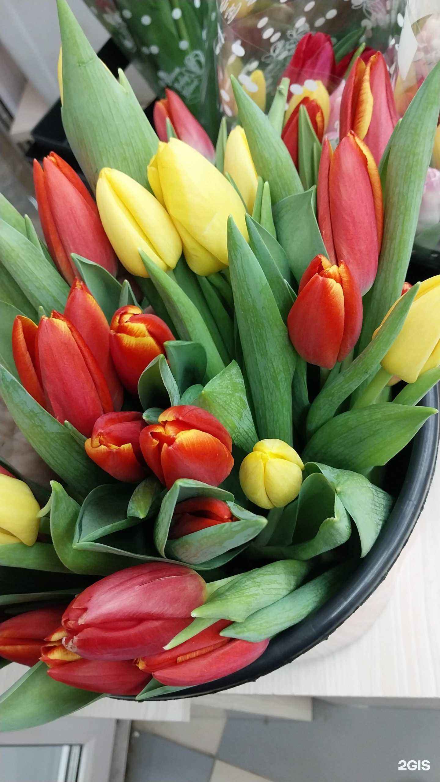 Отзывы на компанию FLOraОПТ в Новосибирске c фото