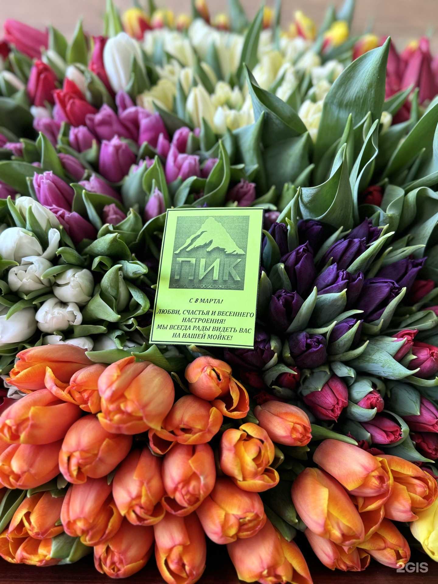 Отзывы на компанию ПИК в Смоленске c фото