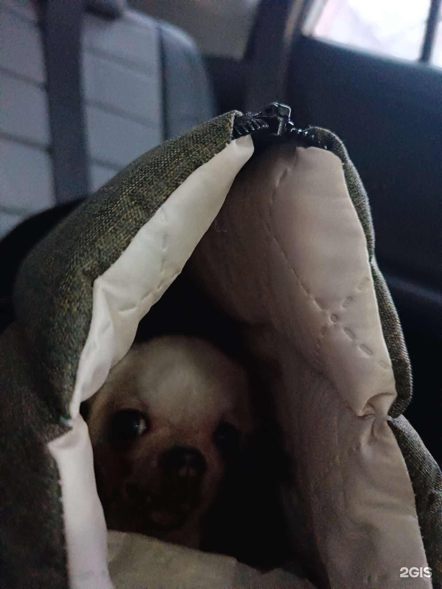 Отзывы на компанию Артемон в г. Мурманск c фото