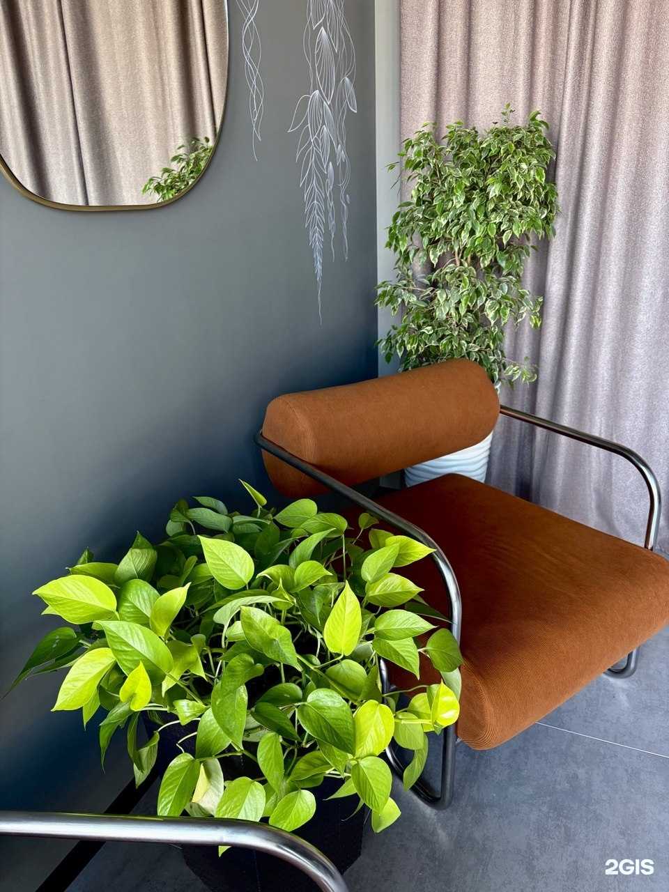 Отзывы на компанию Sensoria в г. Томск c фото