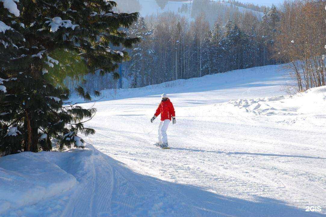 Отзывы на компанию 1С-Форус в г. Томск c фото