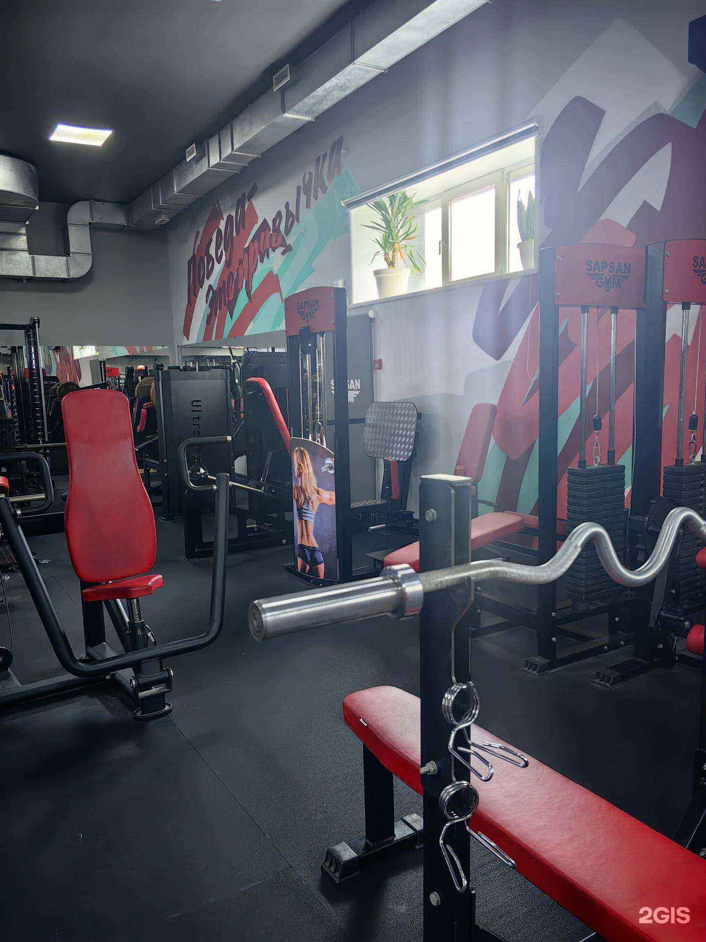 Отзывы на компанию Sapsan Gym в Артёме c фото