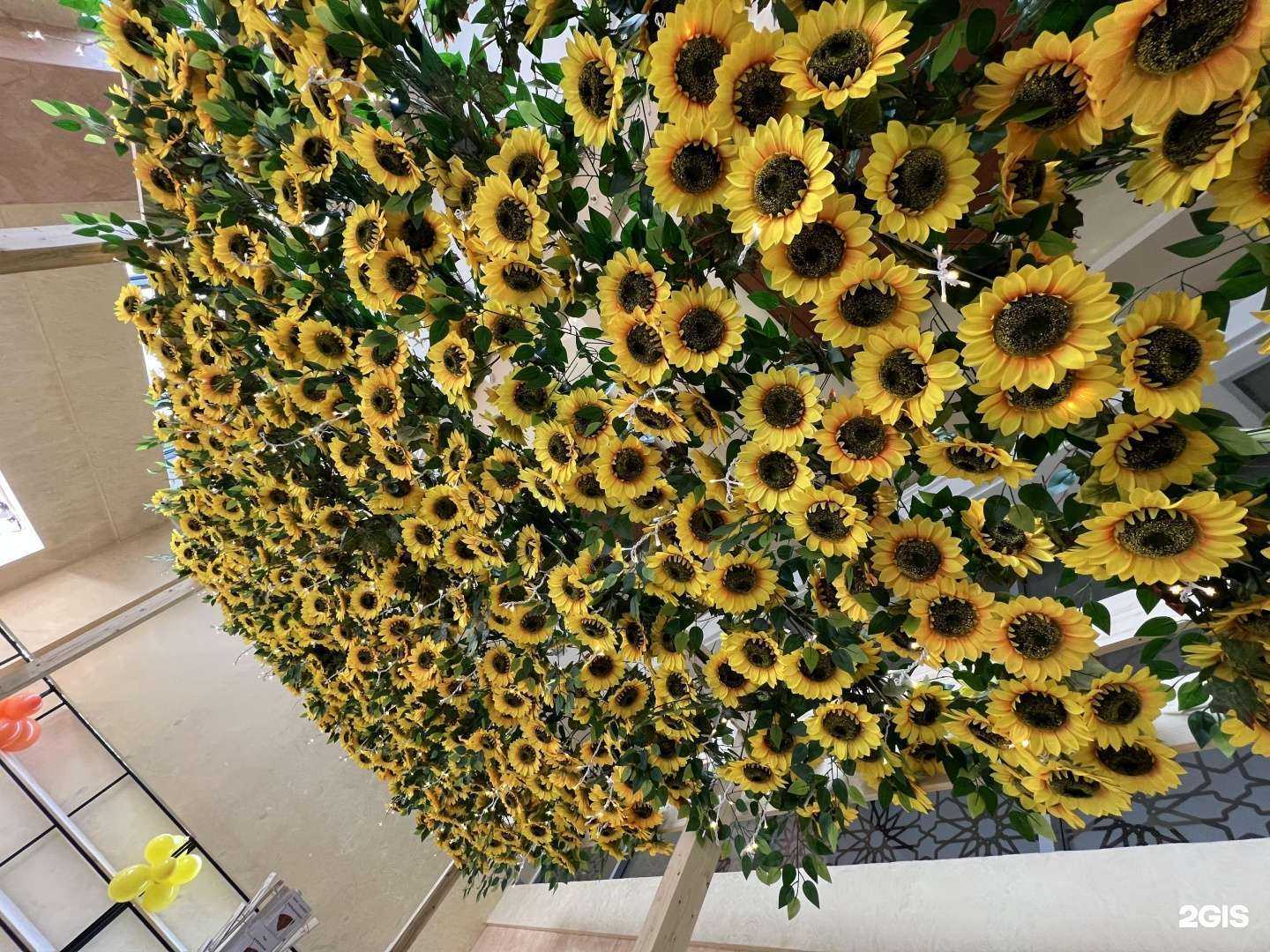 Отзывы на компанию Чак-Чак и точка в Казани c фото