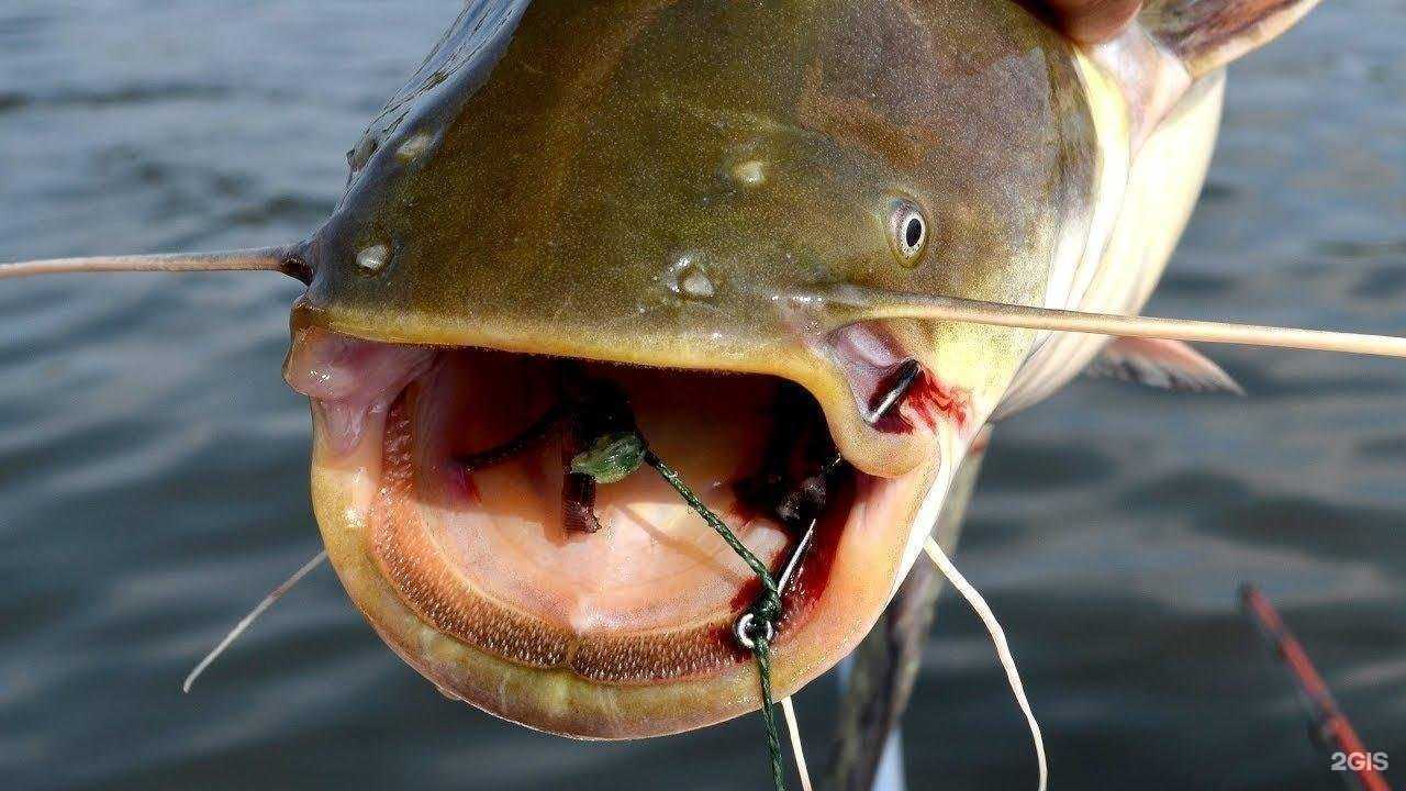 Отзывы на компанию Форт-Баркос в Ижевске c фото