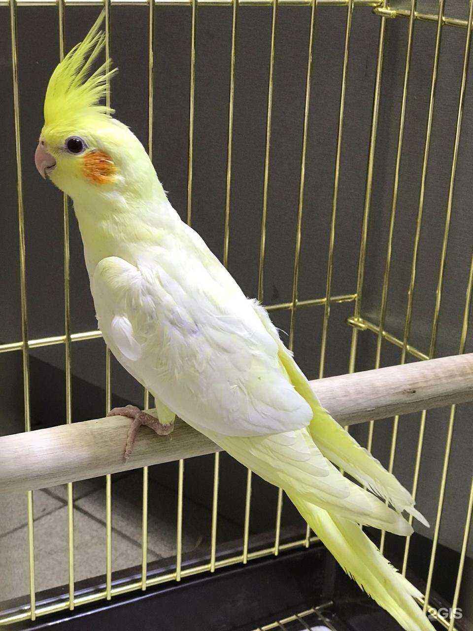 Отзывы на компанию Усики и Носики в Ростове-на-Дону c фото