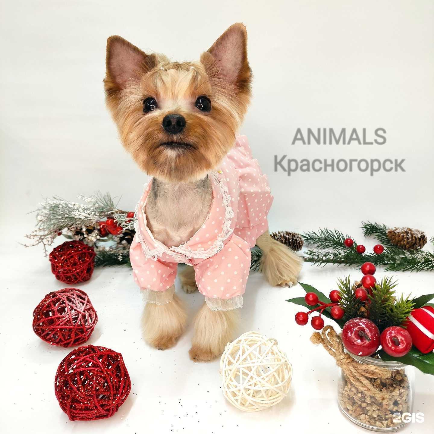 Отзывы на компанию Пом Харди в г. Красногорск c фото