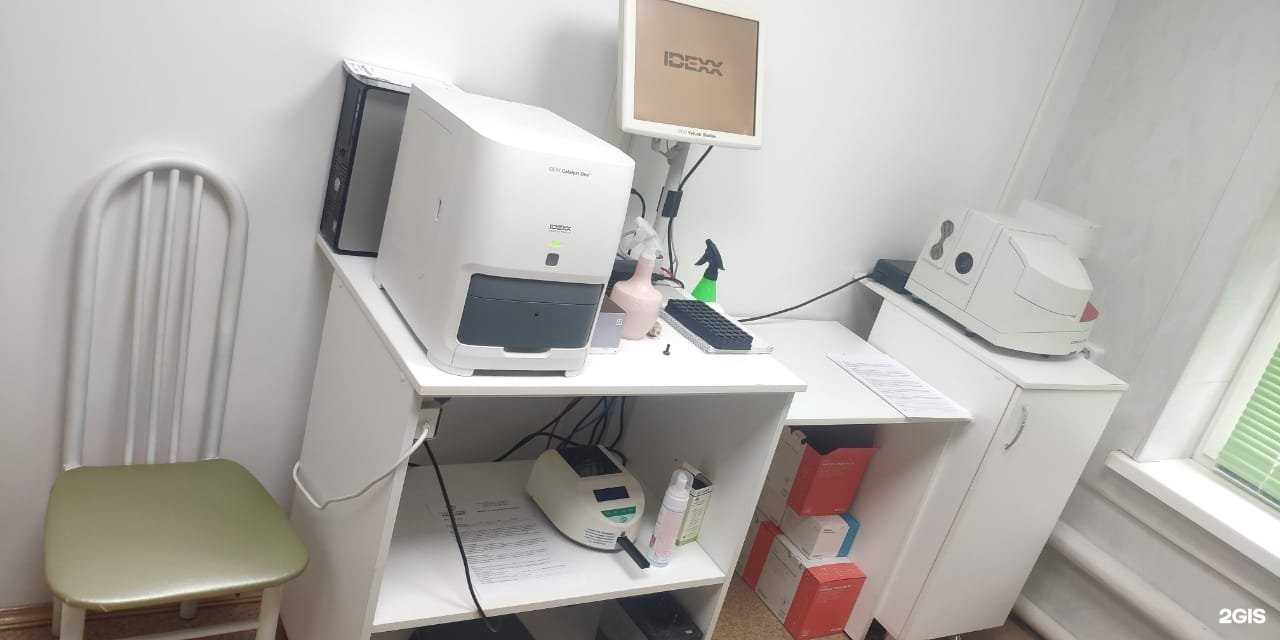 Отзывы на компанию Айболит в Альметьевске c фото