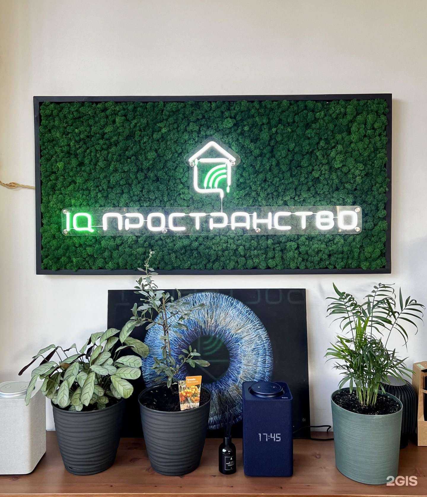 Отзывы на компанию IQ Пространство в г. Краснодар c фото