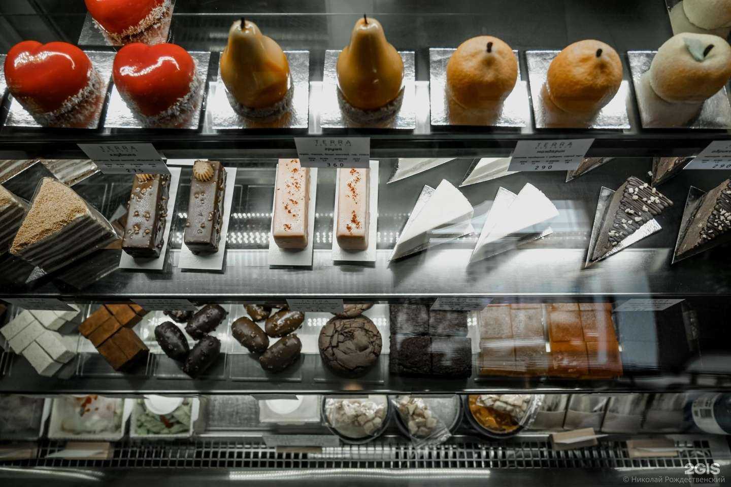 Отзывы на компанию Terra в Омске c фото