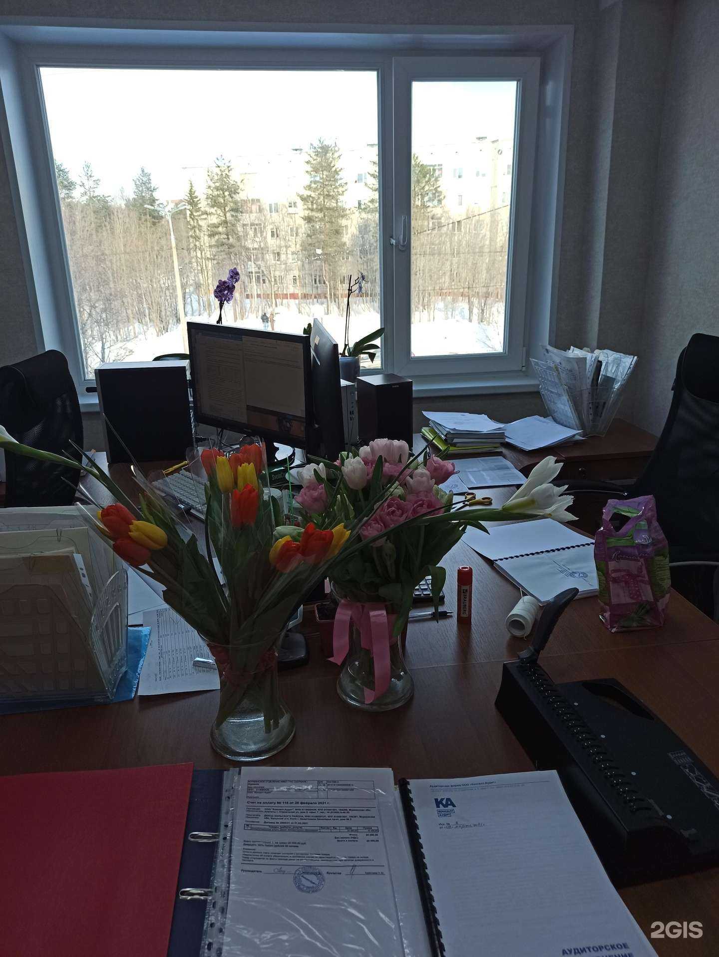 Отзывы на компанию Консалт-аудит в Апатитах c фото