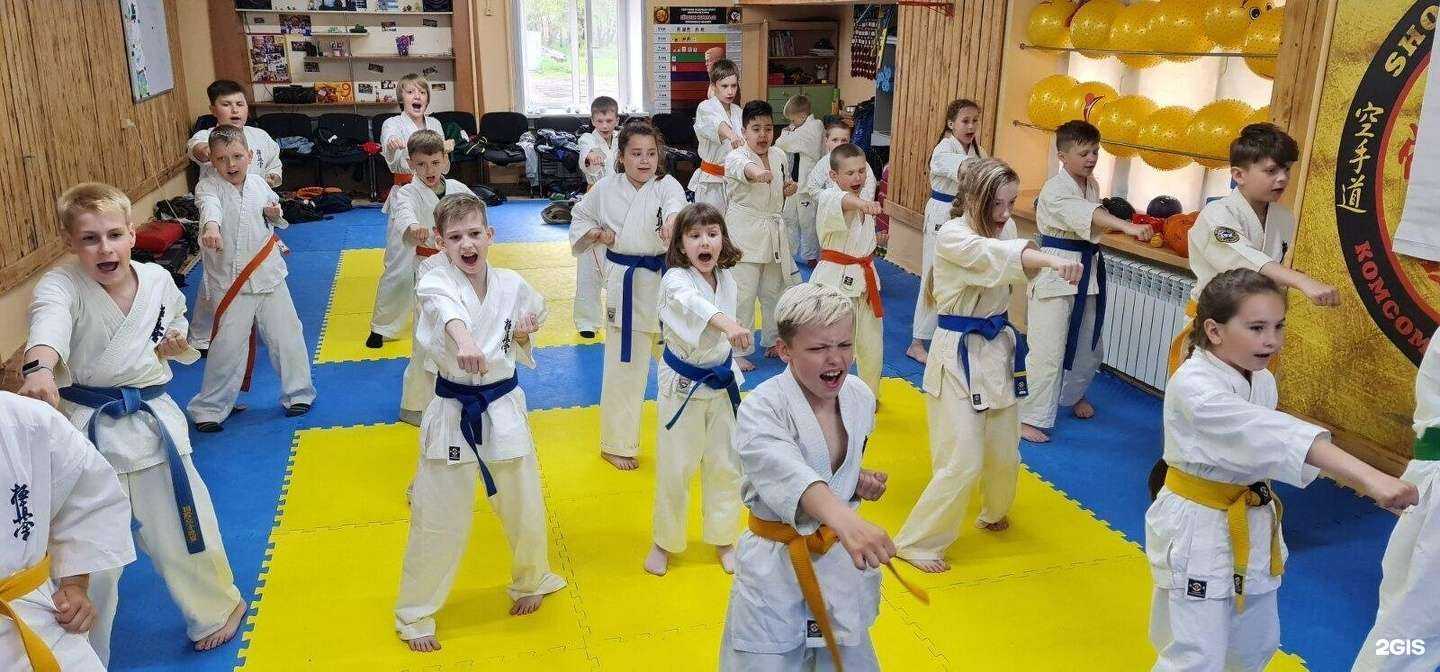 Отзывы на компанию Всестилевое Каратэ Киокушин Мацушима в Комсомольске-на-Амуре c фото