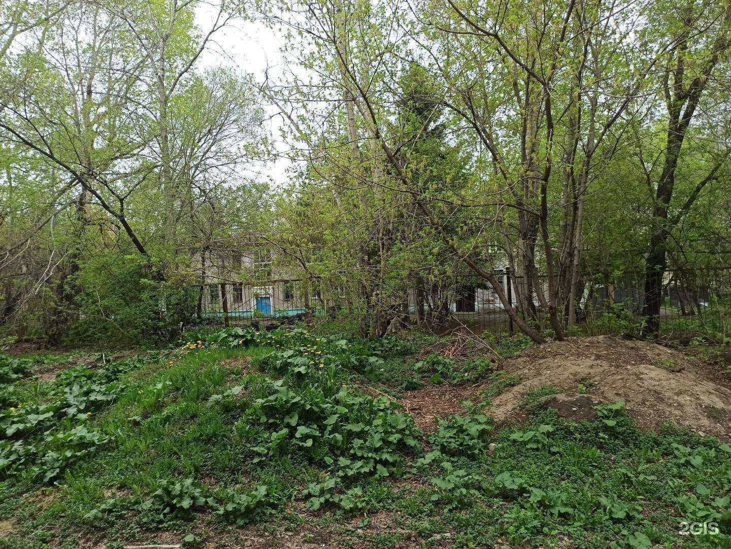 Отзывы на компанию Муарами в Комсомольске-на-Амуре c фото - фотография 2 из 2