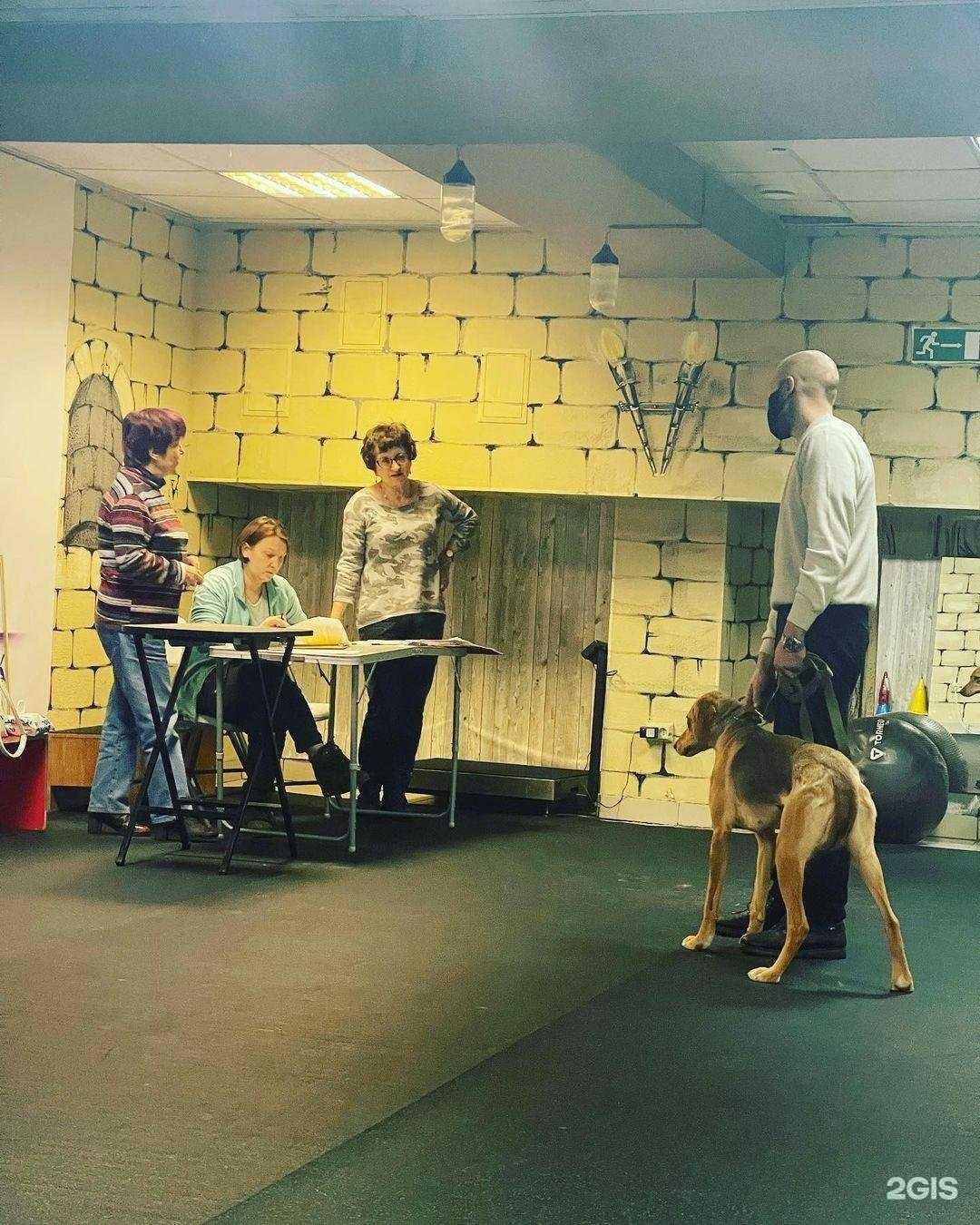 Отзывы на компанию Территория Собак в Кемерове c фото