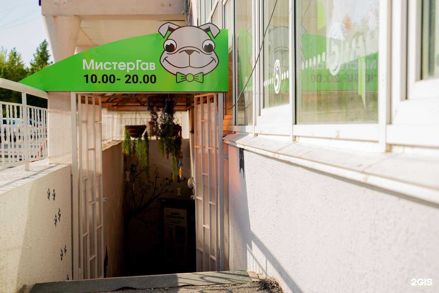 Отзывы на компанию Мистер Гав в Челябинске c фото