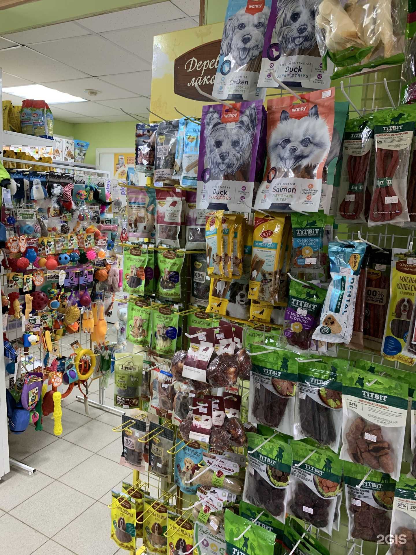 Отзывы на компанию Котопесик в Нижнем Новгороде c фото