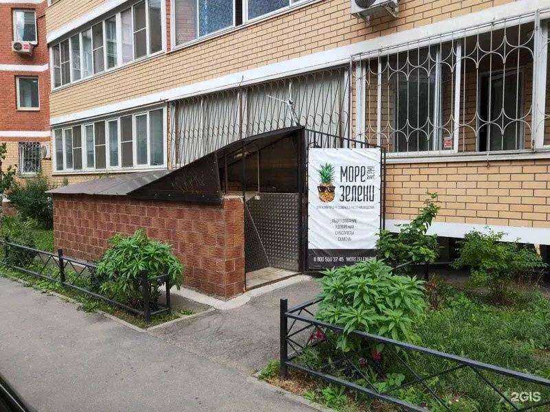 Отзывы на компанию Море зелени в Люберцах c фото