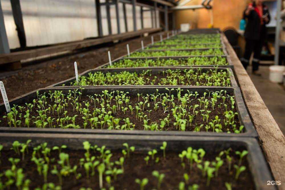 Отзывы на компанию Благоустройство в г. Обнинск c фото