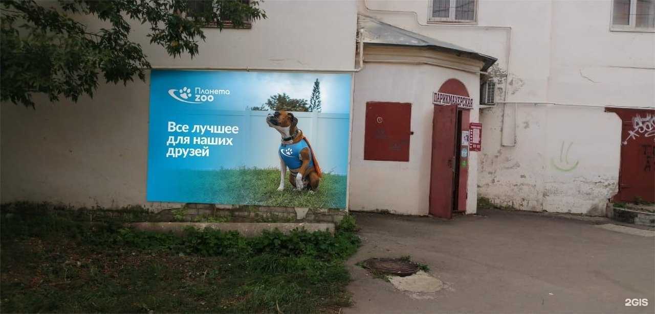 Отзывы на компанию Планета Zoo в г. Тамбов c фото