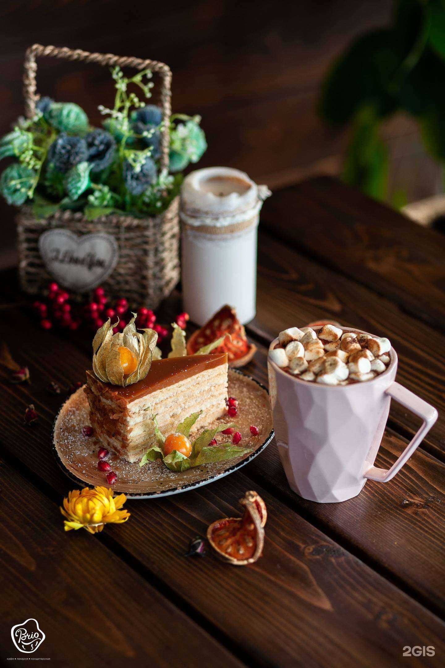 Отзывы на компанию Brio в г. Владивосток c фото