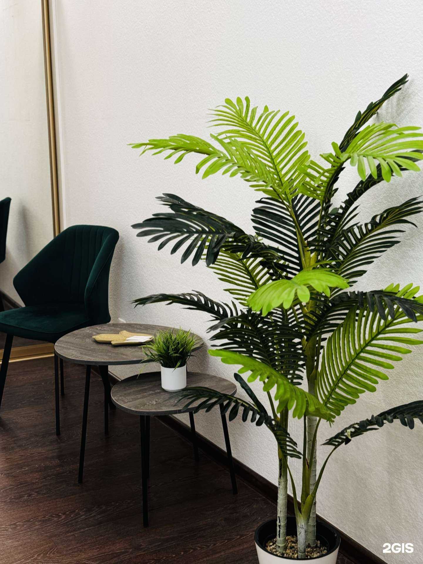 Отзывы на компанию Beauty.workshop42 в г. Кемерово c фото