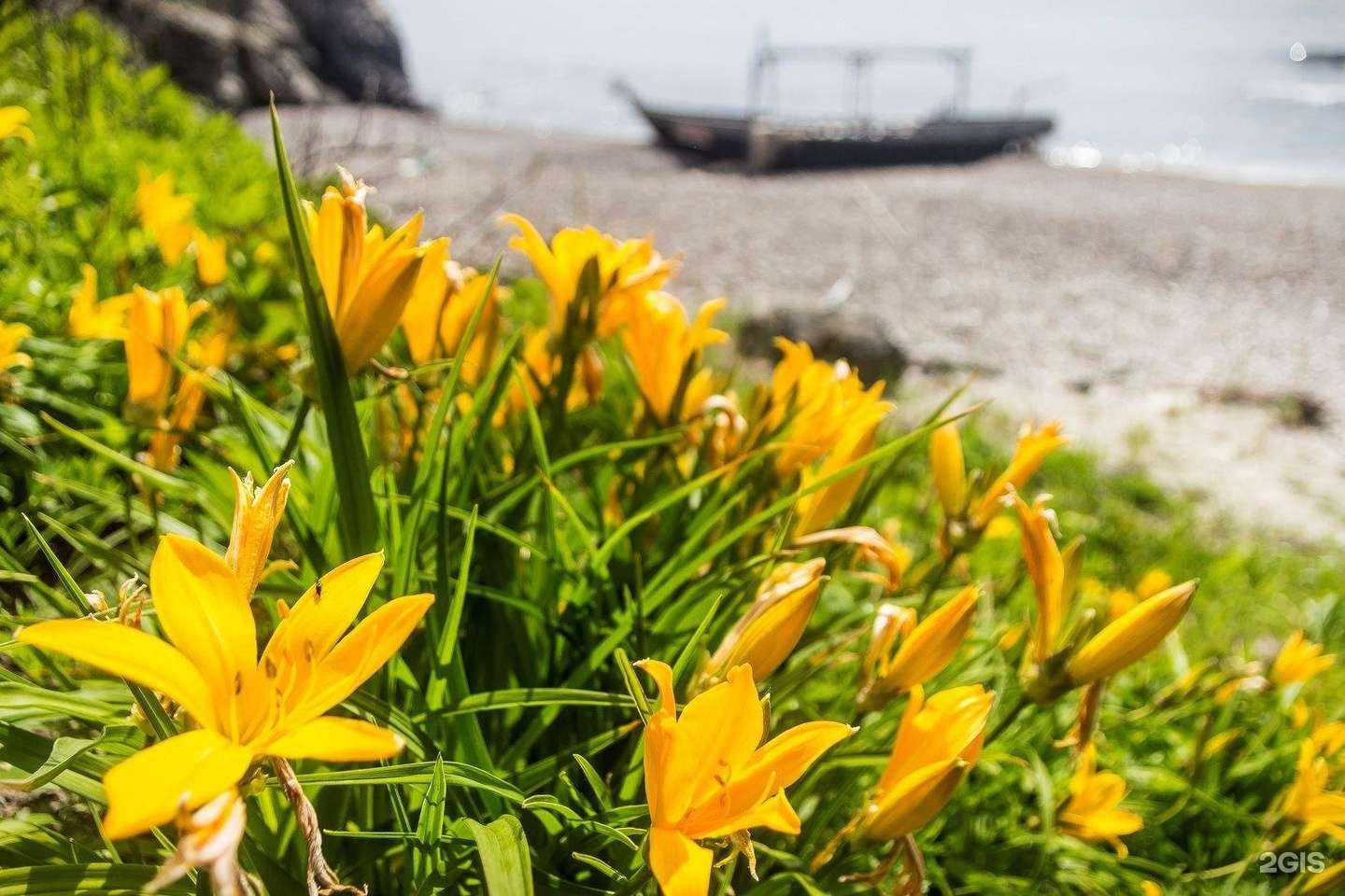 Отзывы на компанию Движение в г. Владивосток c фото