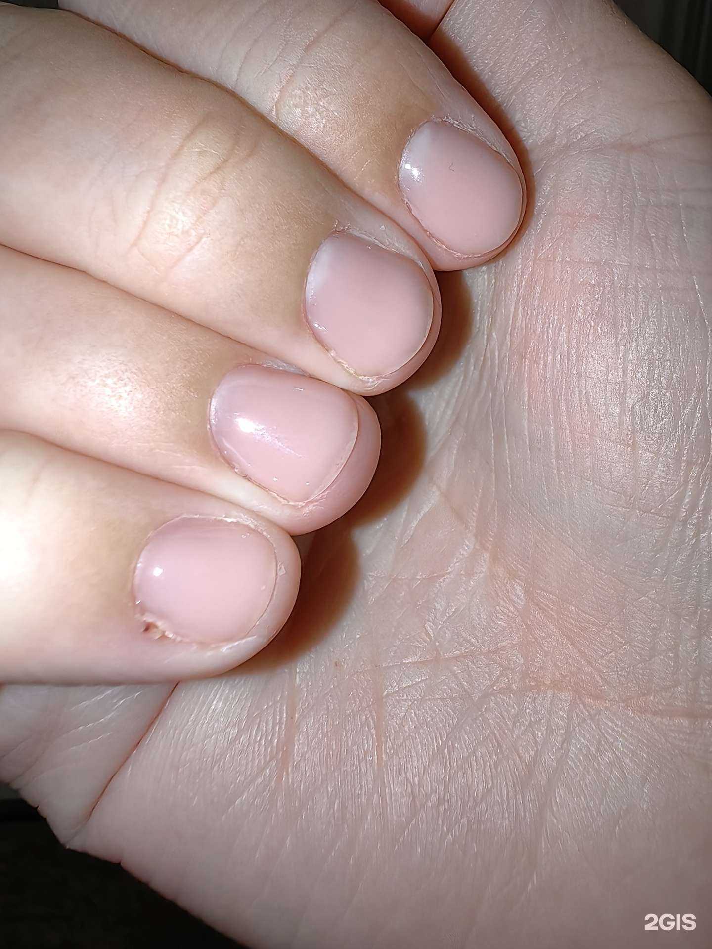 Отзывы на компанию Николь в г. Анапа c фото