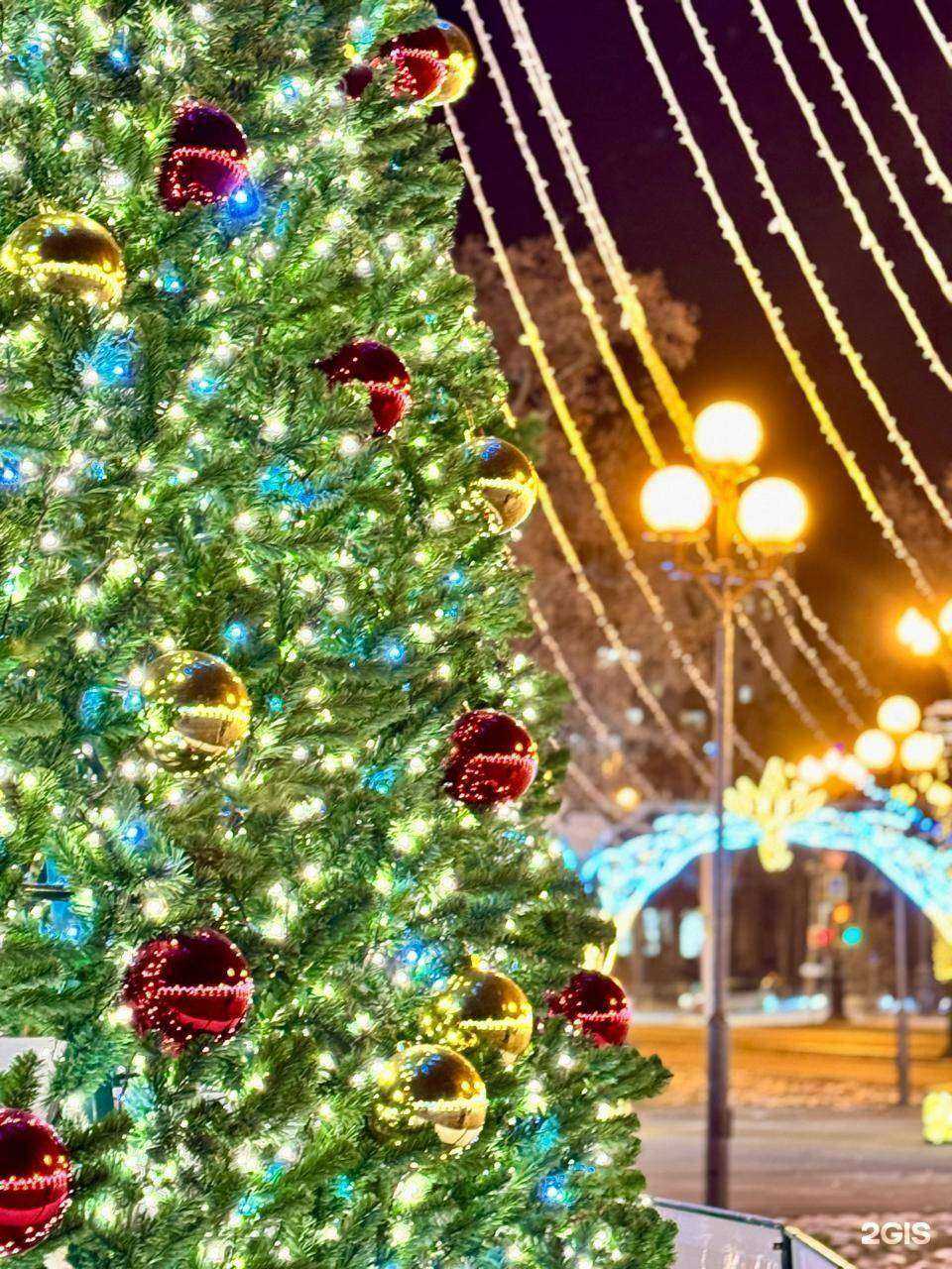 Отзывы на компанию Кадастр и Недвижимость в г. Южно-Сахалинск c фото