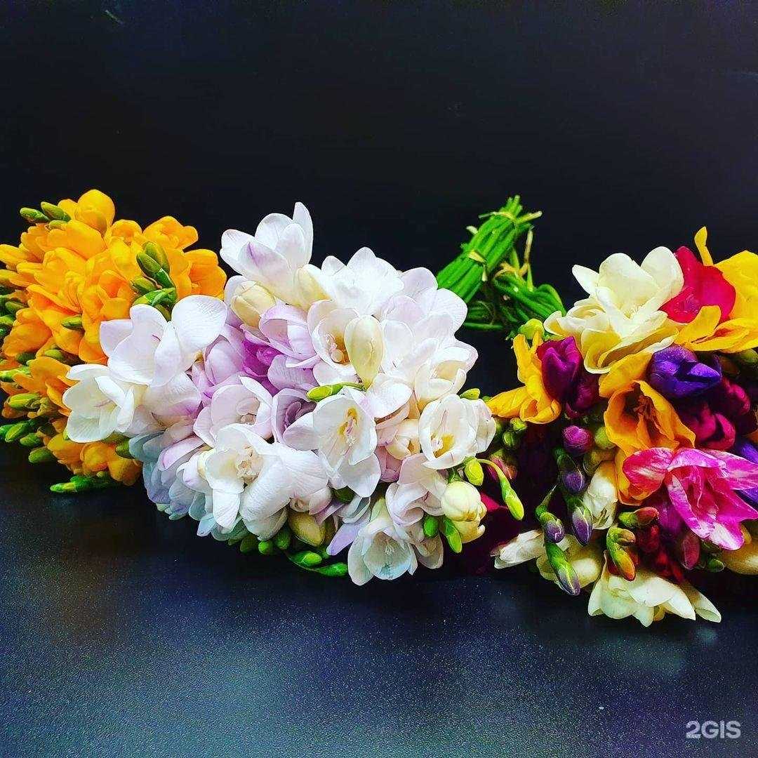 Отзывы на компанию Цветград в г. Саратов c фото