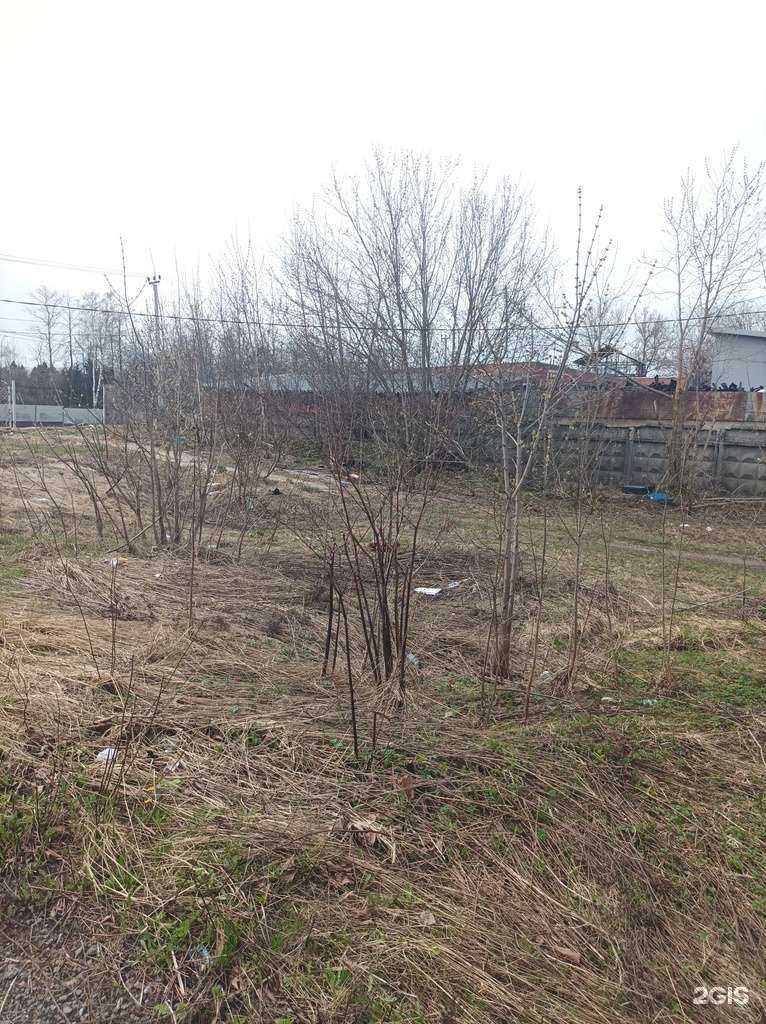 Отзывы на компанию Автосервис в Химках c фото