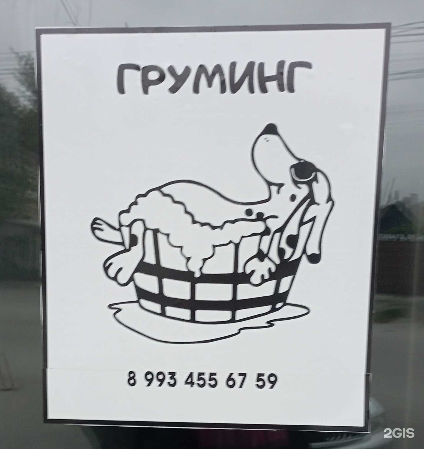 Отзывы на компанию Студия груминга в Таганроге c фото